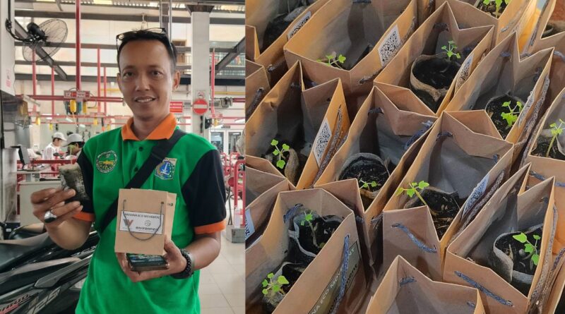 Sekarang Servis di Wahana Dapat Bibit Pepaya California