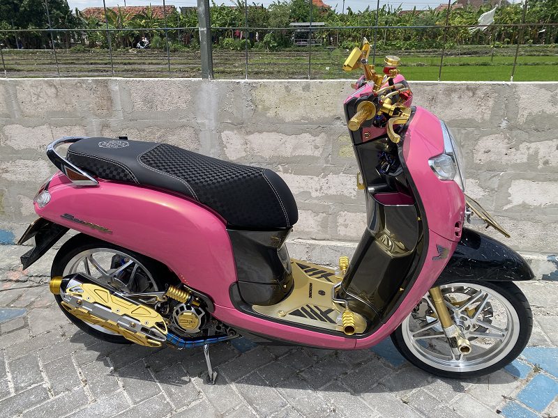 Scoopy Daily Use untuk Buah Hati