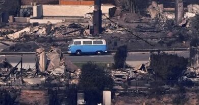 Kisah Restorasi VW Kombi Selamat dari Kebakaran Los Angeles